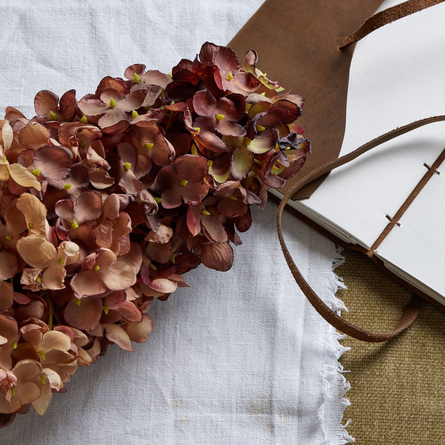 Burgundy Spear Head Hydrangea