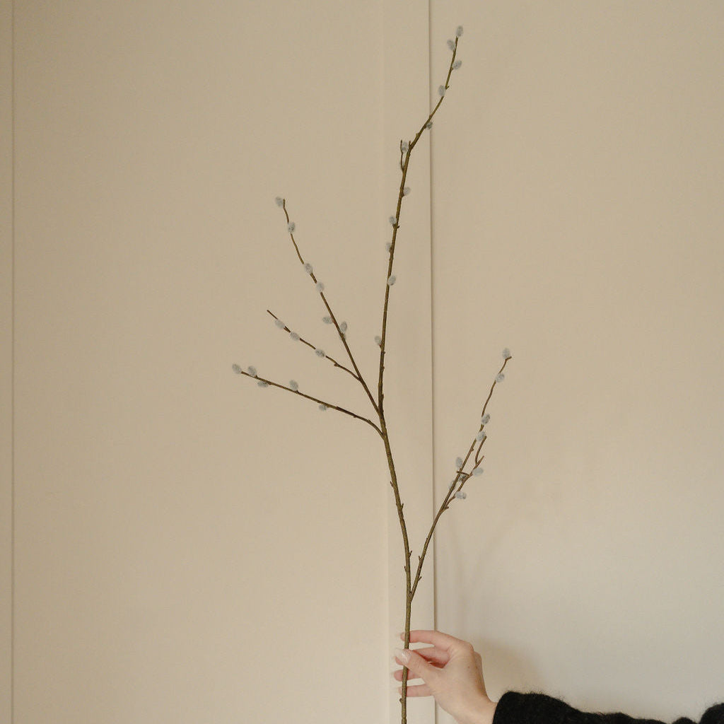Natural Pussy Willow Stem with Leaves