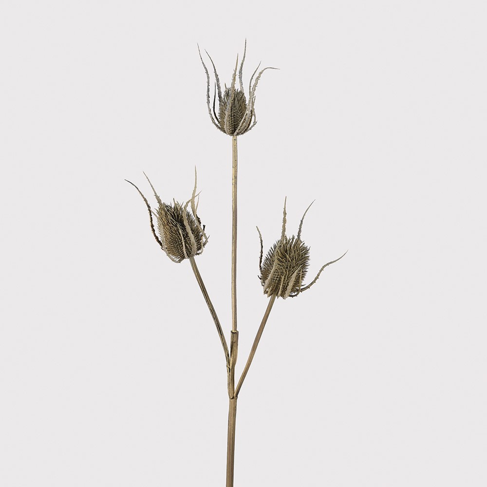Faux Brown Teasel Bunch – Artificial Dried-Look Botanical Stems