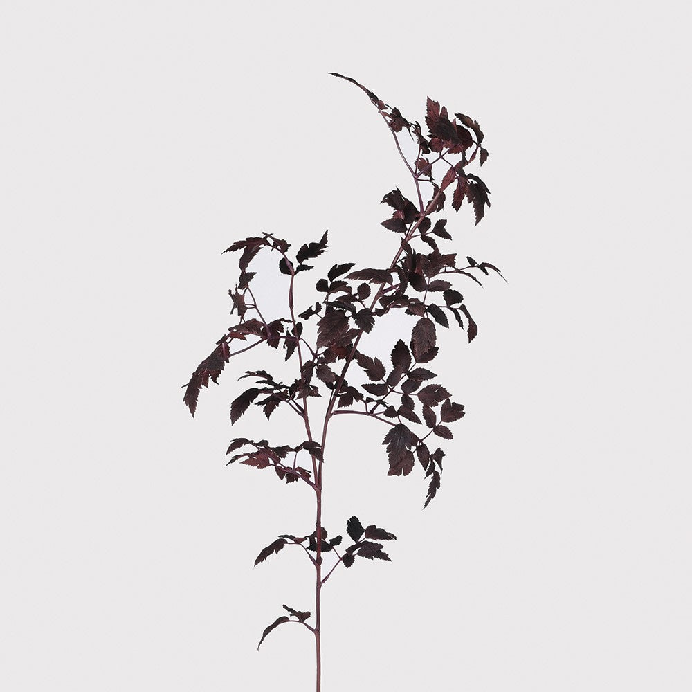 Faux Burgundy Physocarpus Diabolo – Artificial Ninebark Foliage Stem