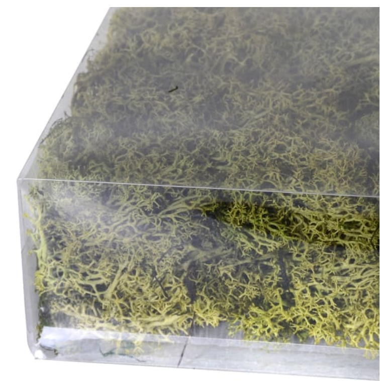 Large Bag of Real Green Moss