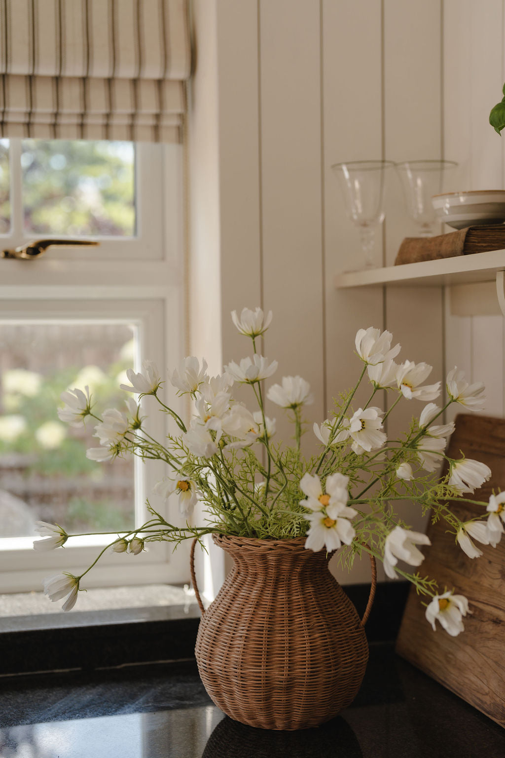 White Cosmos Flower Stem