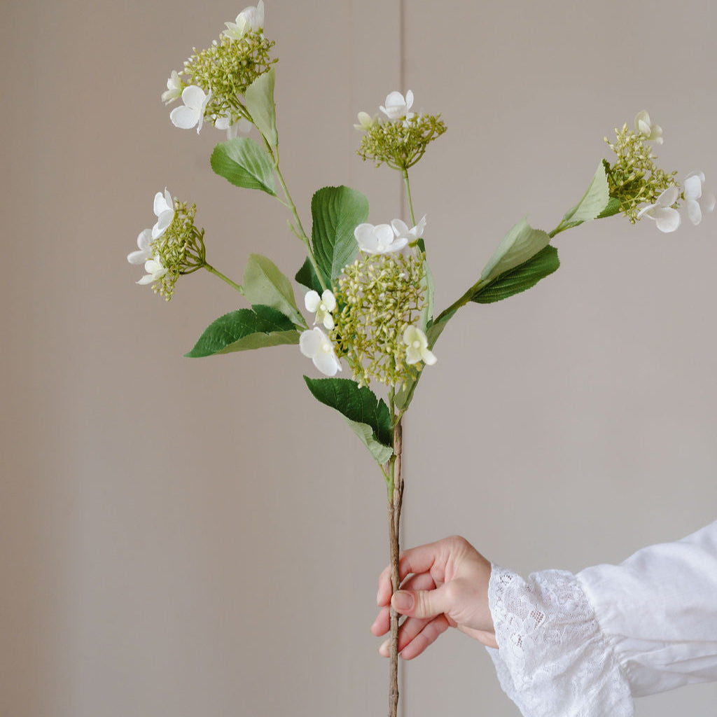 Hand holding a branch with white flowers against a plain background