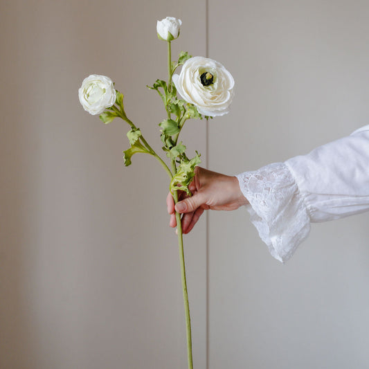 White Ranunculus Real Feel