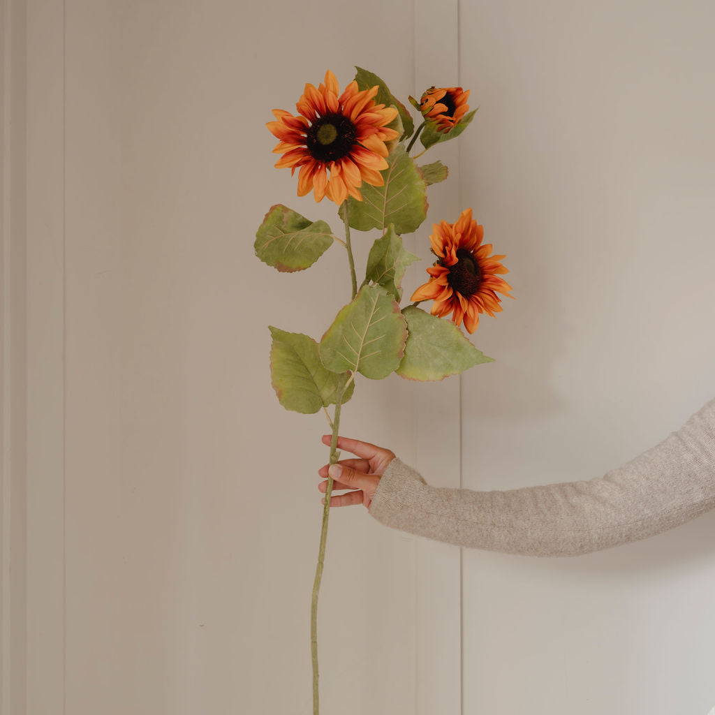 Orange Sunflower Stem with Leaves