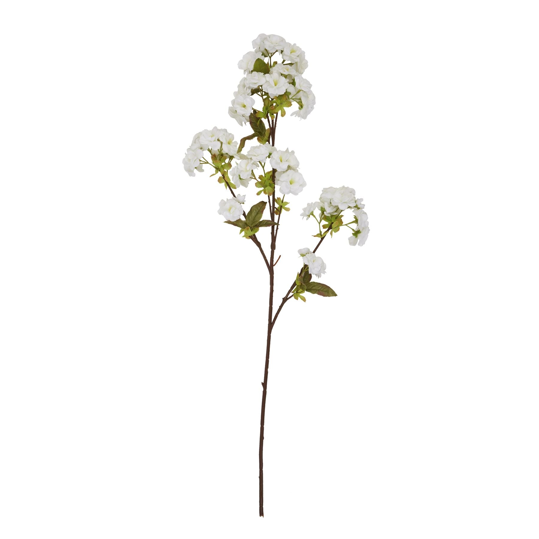 Tall White Blossom Stem