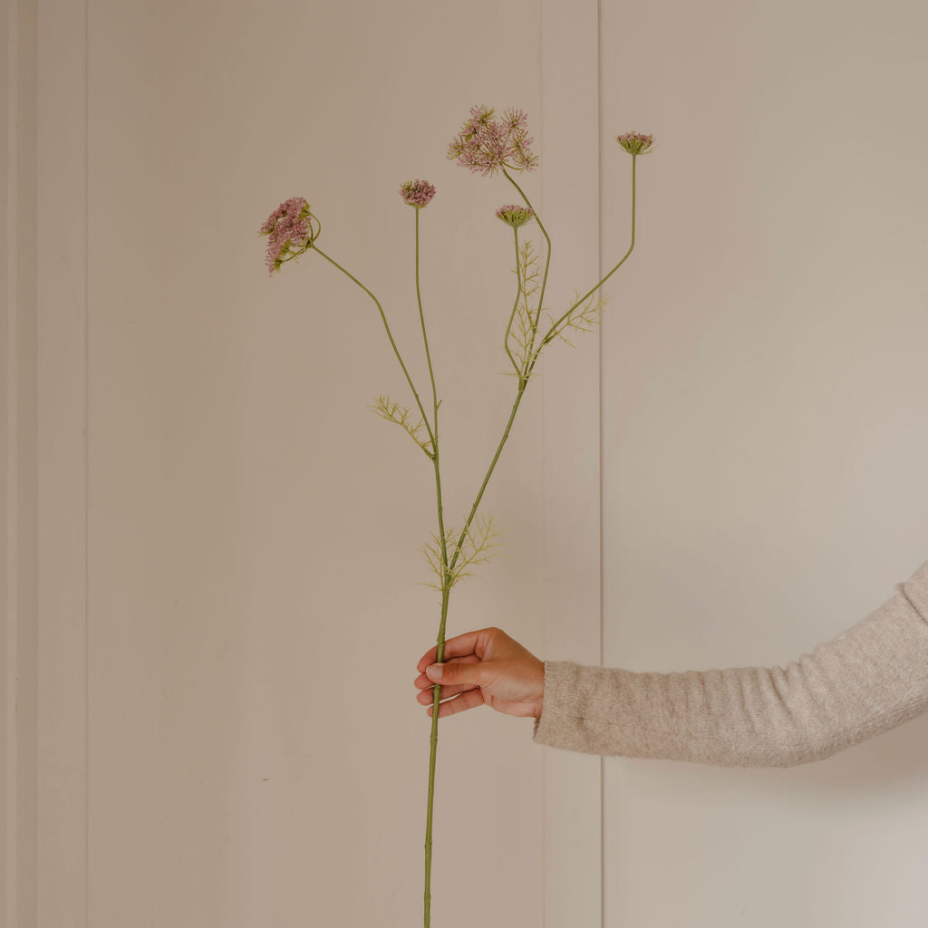 Hand holding a branch with flowers against a plain background