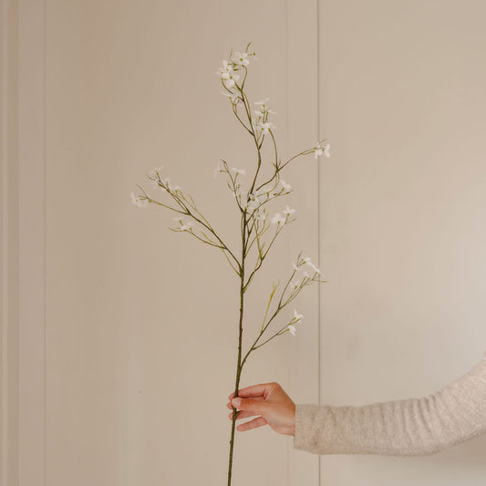 Hand holding a branch with small white flowers against a beige wall.