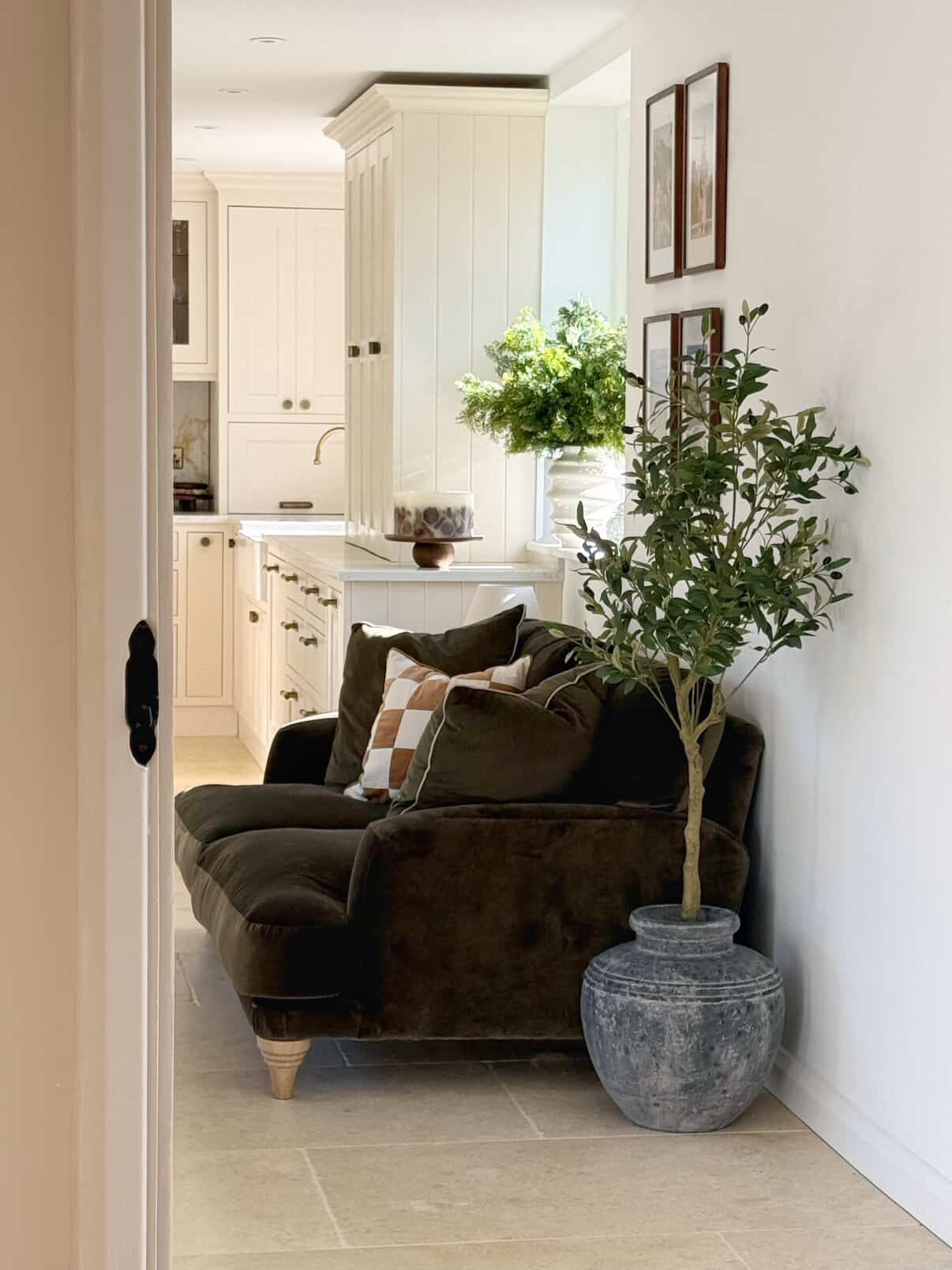 The Mediterranean Olive Tree Bundle Worth £250 Bundle Price £200
