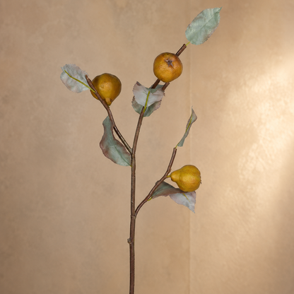 Dry Look Artificial Quince Stem