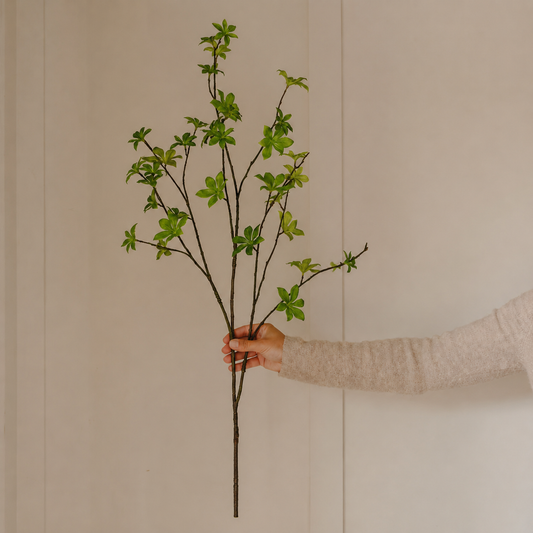 Green Enkianthus Spray