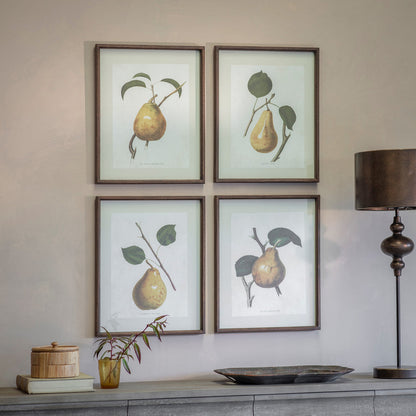 Four framed botanical prints of pears on a wall above a console table.