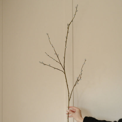Natural Pussy Willow Stem with Leaves
