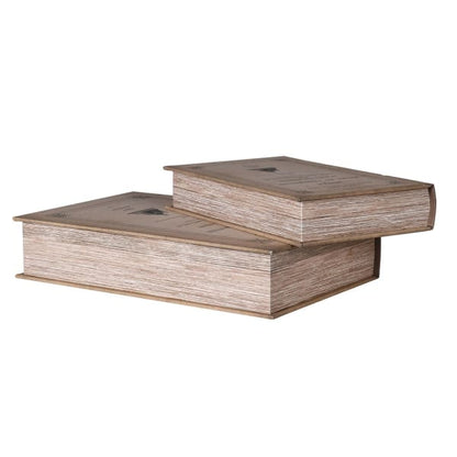 Set of 2 Antique Styling Book Boxes