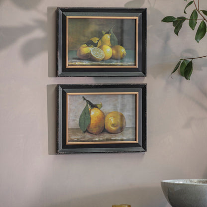 Two framed paintings of lemons on a wall.