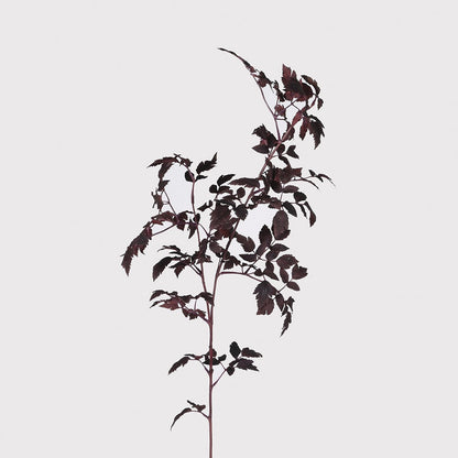 Faux Burgundy Physocarpus Diabolo – Artificial Ninebark Foliage Stem