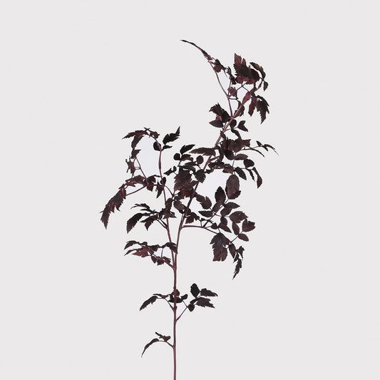 Faux Burgundy Physocarpus Diabolo – Artificial Ninebark Foliage Stem