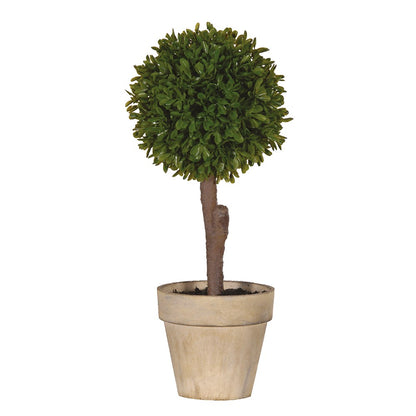 Green Miniature Boxwood Ball in Brown Pot