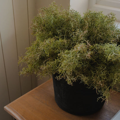The Alder Charcoal Vase