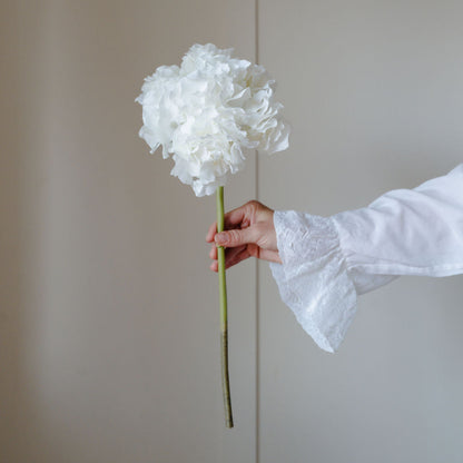 Hand holding a large white flower against a neutral background