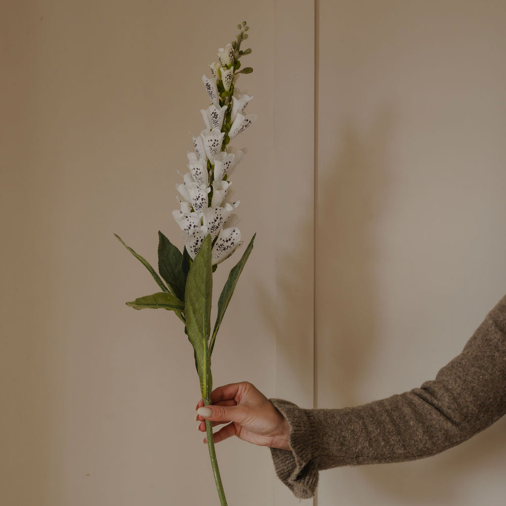 Hand holding a bouquet of white flowers against a beige background