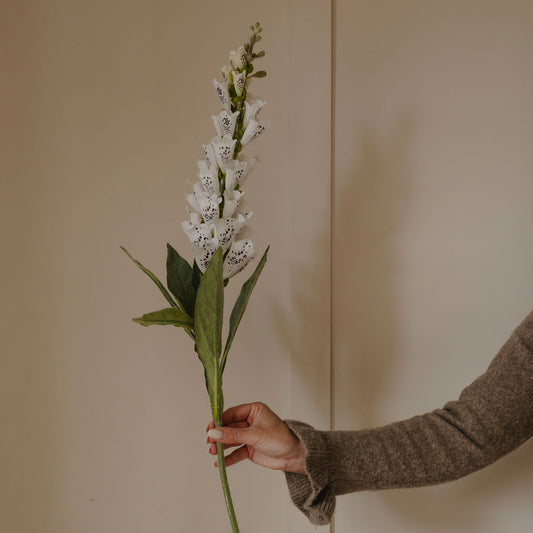 White Foxglove Spray