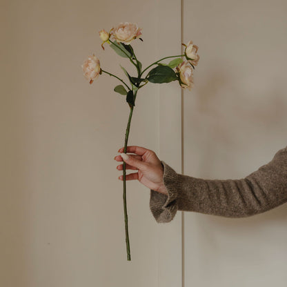 Hand holding a stem of flowers against a plain background