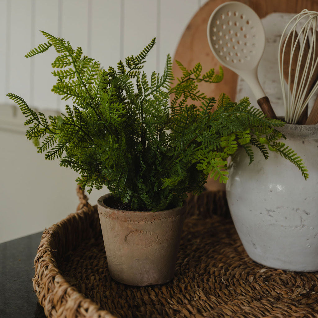 Potted fern on a woven surface with kitchen utensils in the background