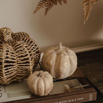 Decorative pumpkins and a textured basket on books with a fern in the background