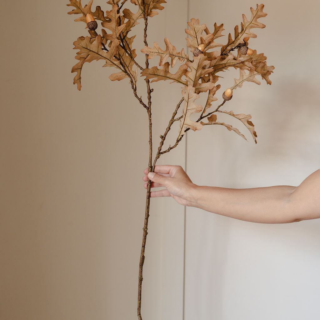 Hand holding a dried plant against a neutral background