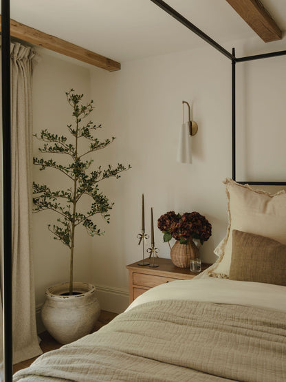 Fig & Olive Hydrangea