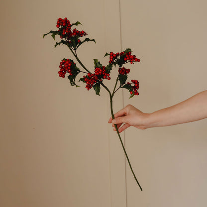Holly Stem