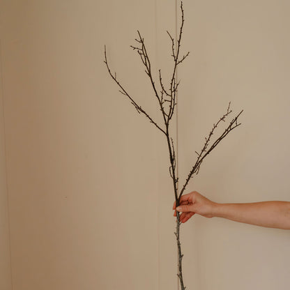 Faux Winter Branch
Decorative faux winter branch
Artificial winter branch for vase
Faux branch for Christmas arrangements
Realistic winter branch seasonal decoration
Artificial branch for festive floral displays
Faux winter branch for urn arrangement
Decorative winter branch for country home décor
Artificial winter foliage branch
Faux seasonal branch for Christmas styling