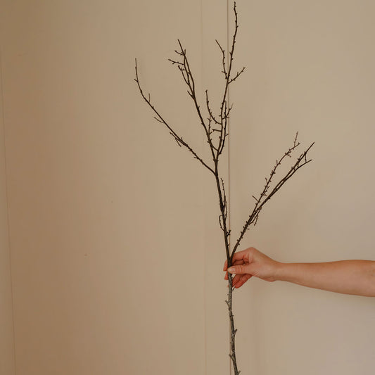 Faux Winter Branch