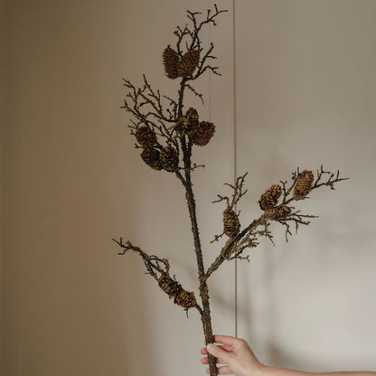 Decorative branch with pine cones held against a neutral background
