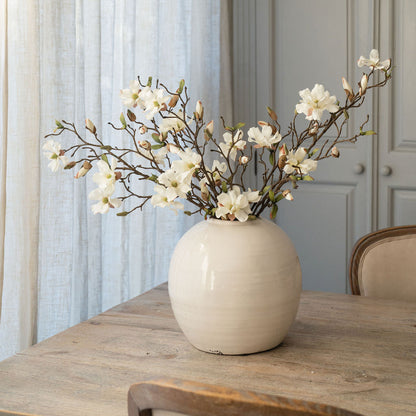 Open Magnolia Stems