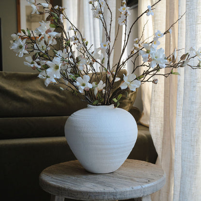 Open Magnolia Stems